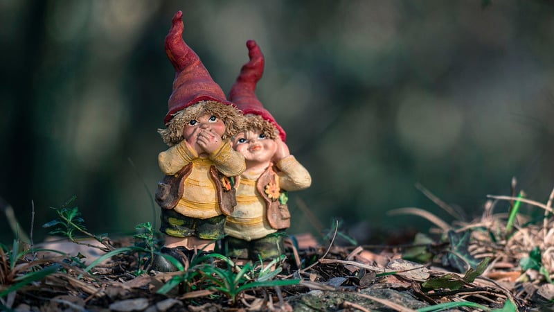 Gnomes and Elves