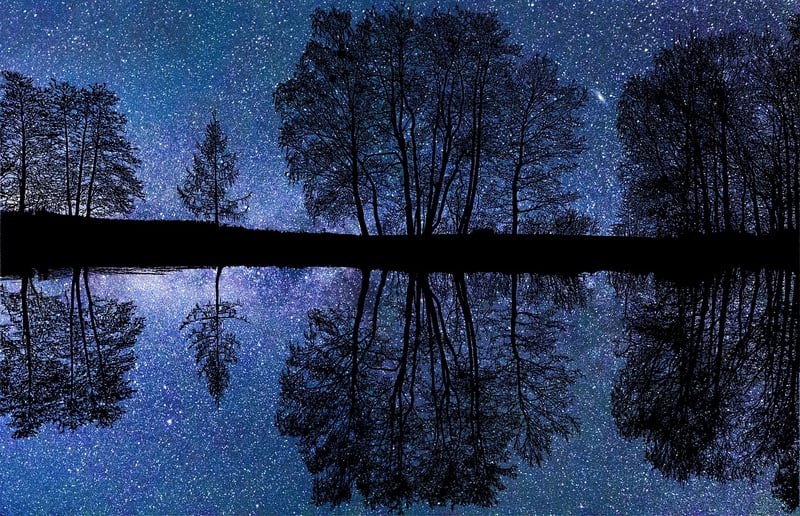 Magic Groves