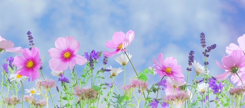 Fantasy Garden Image
