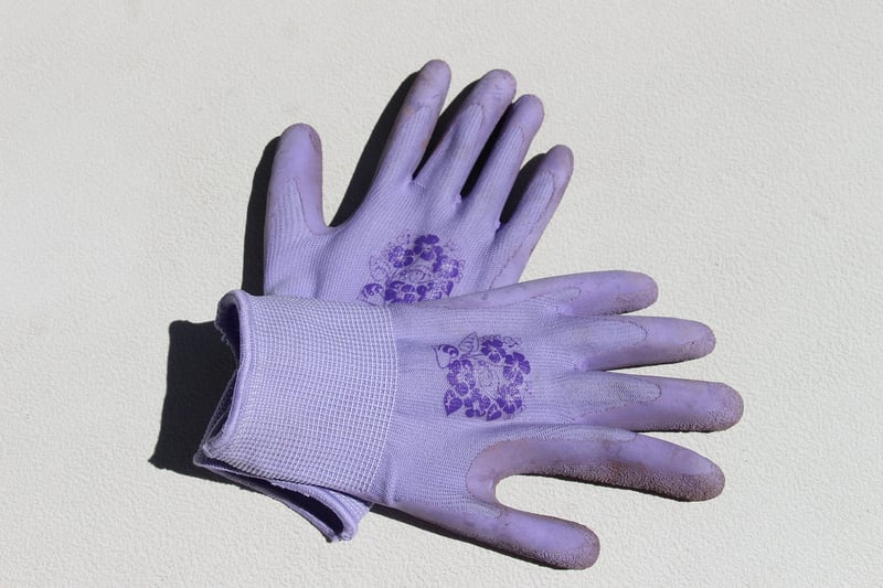 Dragon Claw Gloves