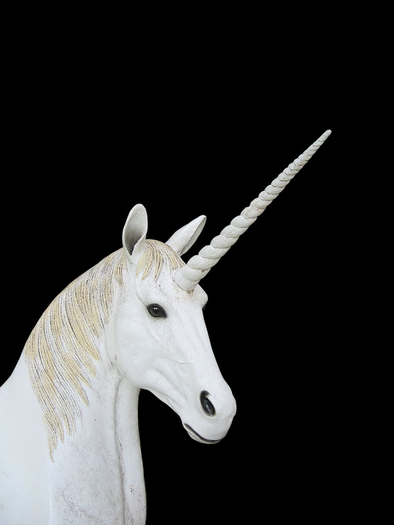 Unicorn Shovel