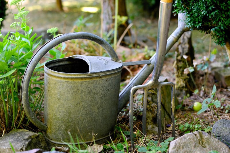 Enchanted Watering Can